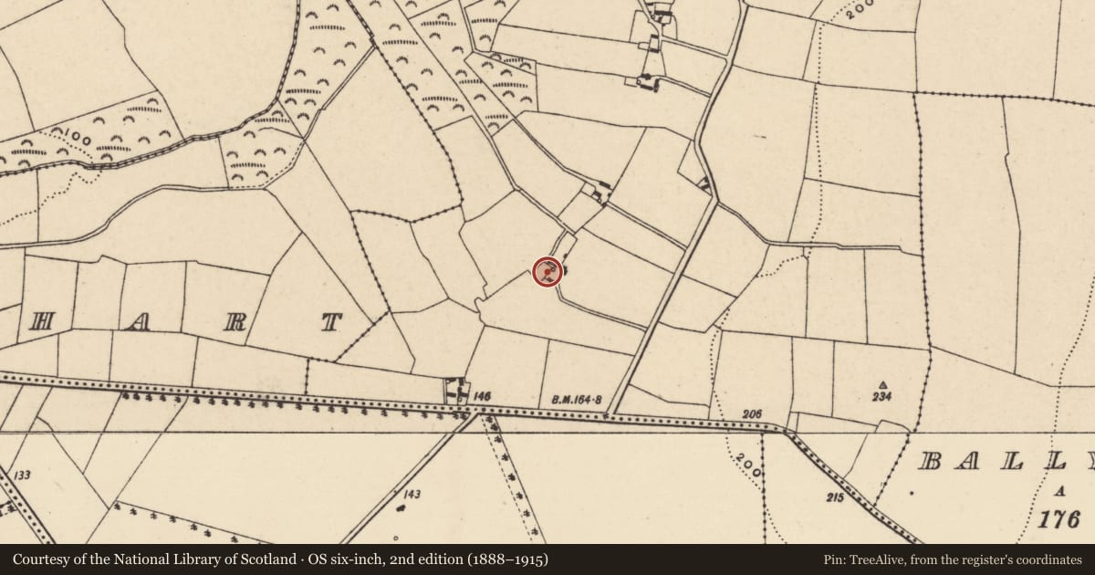 Ordnance Survey six-inch map, 2nd edition (1888–1915) covering the location of Bullaun stone (present location), Ballyboy, County Wexford, with a pin at the register's coordinates