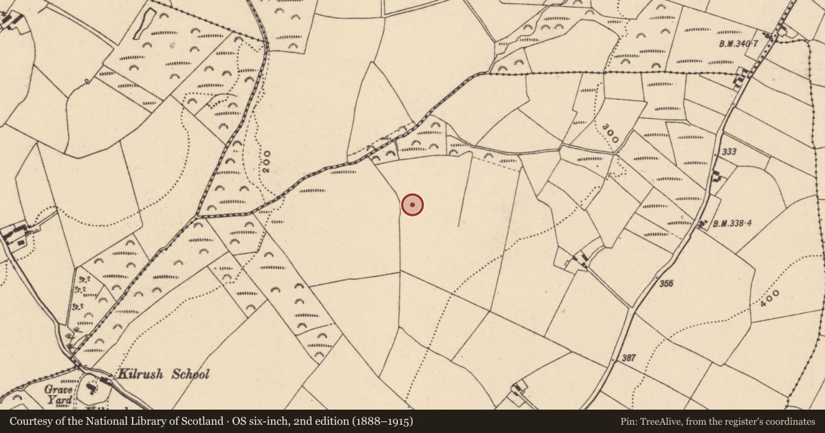 Ordnance Survey six-inch map, 2nd edition (1888–1915) covering the location of Ringfort - rath, Ballynaberny, County Wexford, with a pin at the register's coordinates