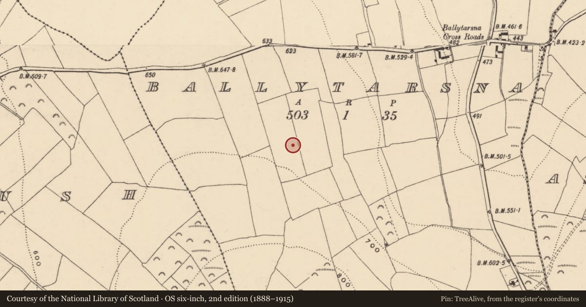 Ordnance Survey six-inch map, 2nd edition (1888–1915) covering the location of Enclosure, Ballytarsna, County Wexford, with a pin at the register's coordinates