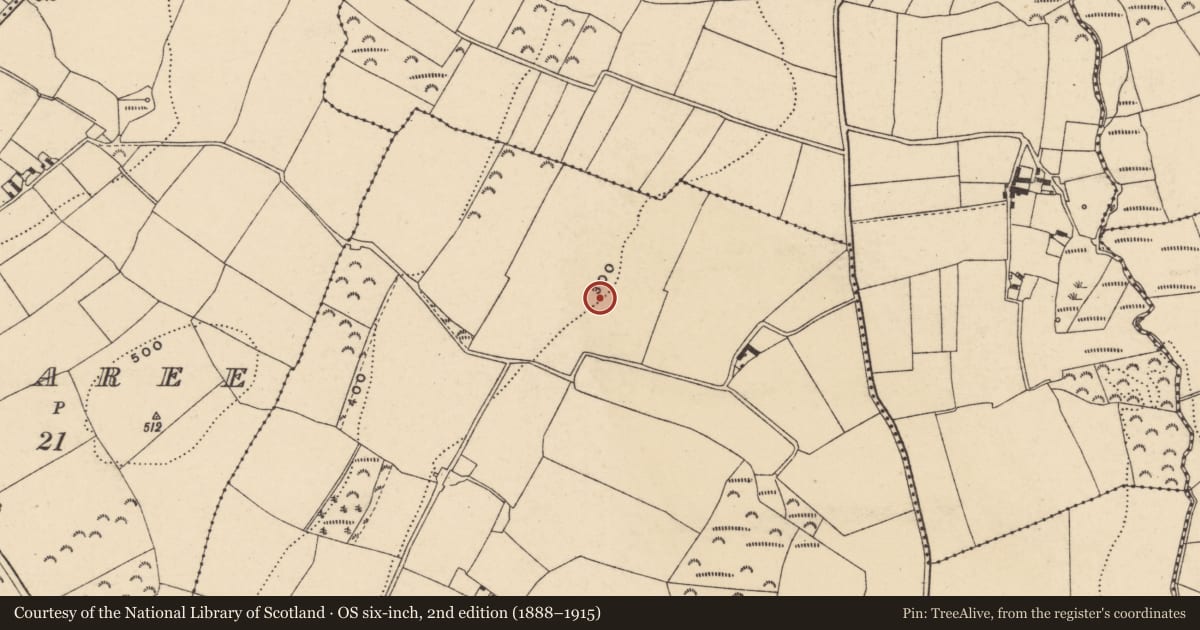 Ordnance Survey six-inch map, 2nd edition (1888–1915) covering the location of Enclosure - large enclosure, Curraduff, County Wexford, with a pin at the register's coordinates
