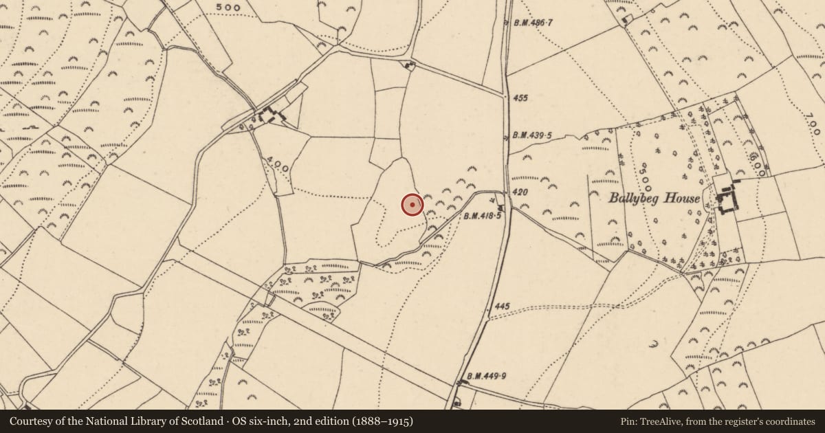 Ordnance Survey six-inch map, 2nd edition (1888–1915) covering the location of Enclosure, Ballybeg, County Wexford, with a pin at the register's coordinates