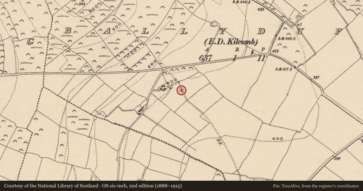 Ordnance Survey six-inch map, 2nd edition (1888–1915) covering the location of Enclosure, Ballyduff, County Wexford, with a pin at the register's coordinates