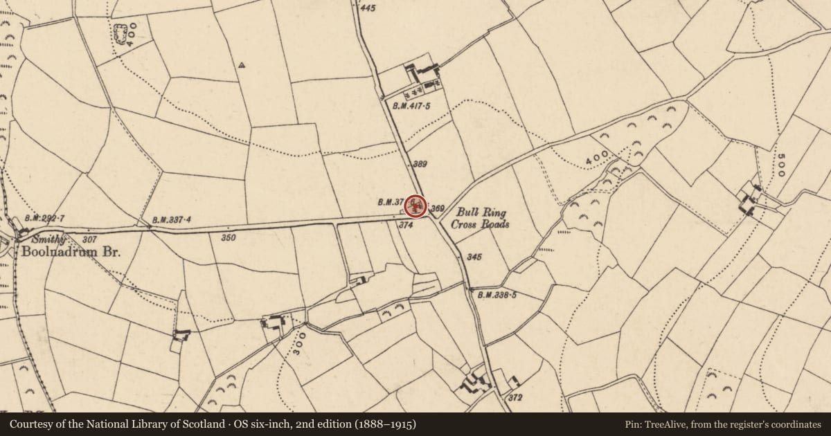 Ordnance Survey six-inch map, 2nd edition (1888–1915) covering the location of Burial ground, Ballybeg, County Wexford, with a pin at the register's coordinates