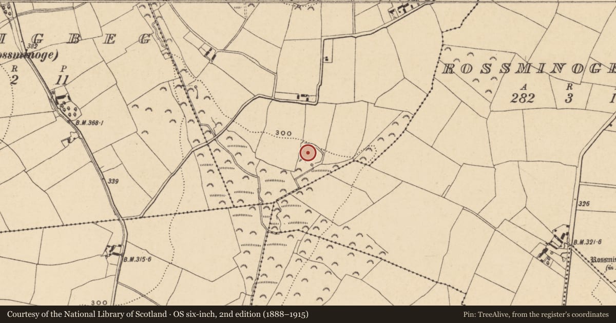Ordnance Survey six-inch map, 2nd edition (1888–1915) covering the location of Cairn - unclassified, Ballyregan, County Wexford, with a pin at the register's coordinates