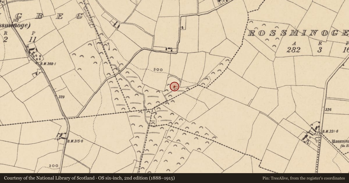 Ordnance Survey six-inch map, 2nd edition (1888–1915) covering the location of Well, Ballyregan, County Wexford, with a pin at the register's coordinates