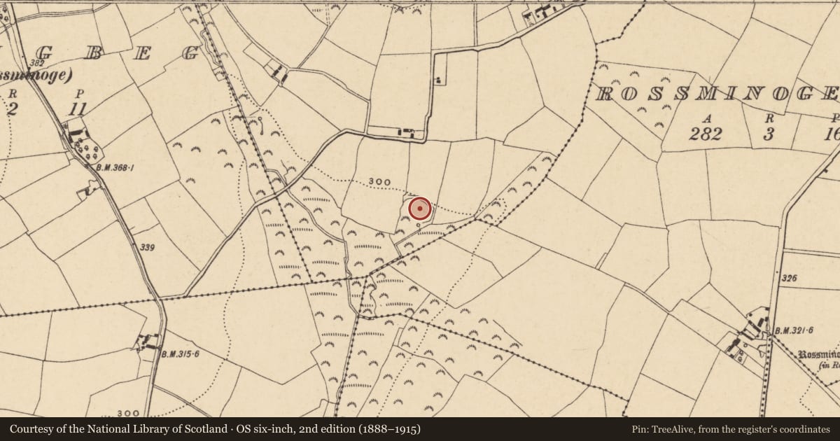 Ordnance Survey six-inch map, 2nd edition (1888–1915) covering the location of Burial ground, Ballyregan, County Wexford, with a pin at the register's coordinates