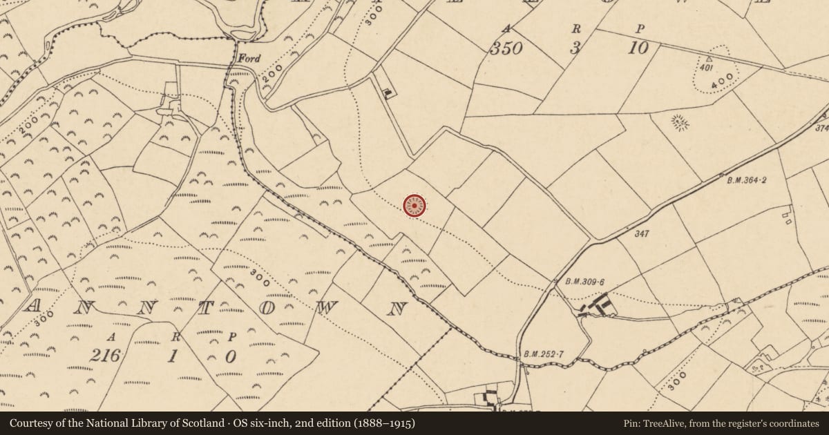 Ordnance Survey six-inch map, 2nd edition (1888–1915) covering the location of Ringfort - rath, Killowen, County Wexford, with a pin at the register's coordinates