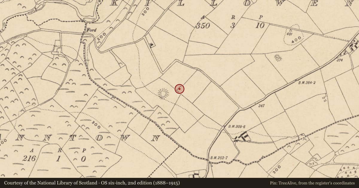 Ordnance Survey six-inch map, 2nd edition (1888–1915) covering the location of Ringfort - unclassified, Killowen, County Wexford, with a pin at the register's coordinates