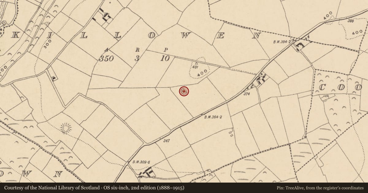 Ordnance Survey six-inch map, 2nd edition (1888–1915) covering the location of Church, Killowen, County Wexford, with a pin at the register's coordinates