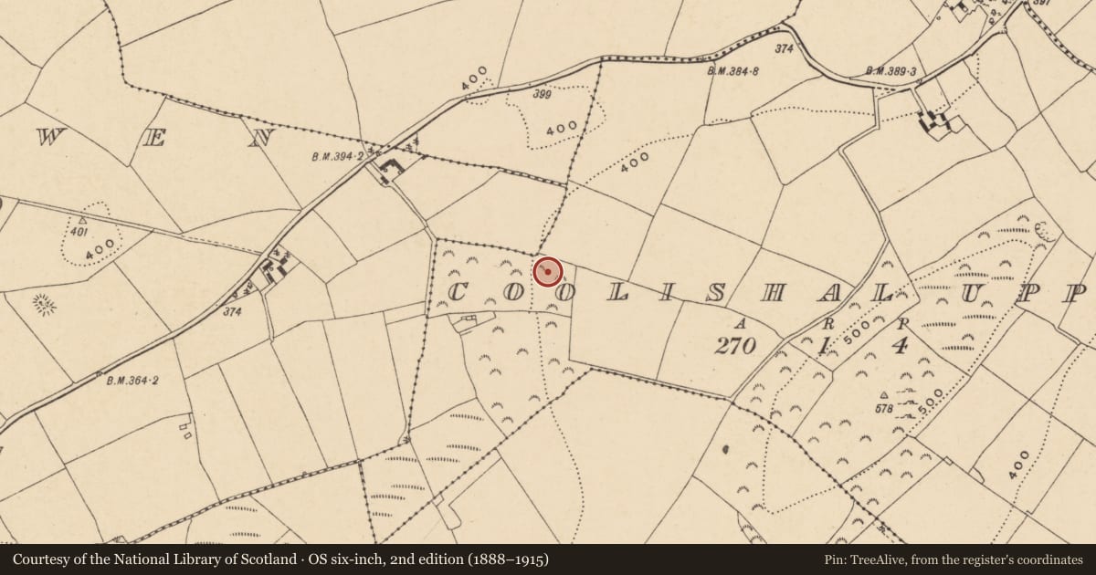 Ordnance Survey six-inch map, 2nd edition (1888–1915) covering the location of Ringfort - unclassified, Coolishal Upper, County Wexford, with a pin at the register's coordinates