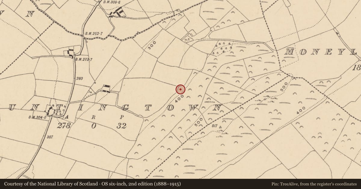Ordnance Survey six-inch map, 2nd edition (1888–1915) covering the location of Ringfort - rath, Huntingtown, County Wexford, with a pin at the register's coordinates
