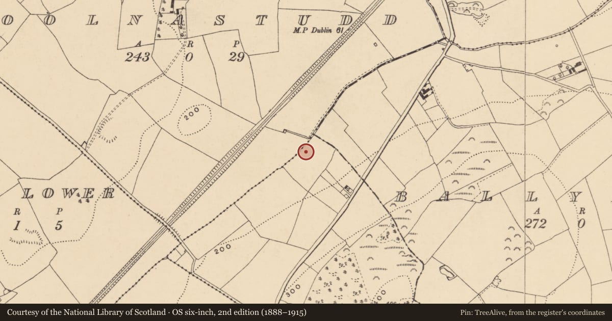 Ordnance Survey six-inch map, 2nd edition (1888–1915) covering the location of Ringfort - unclassified, Ballyminaunhill, Coolnastudd, County Wexford, with a pin at the register's coordinates