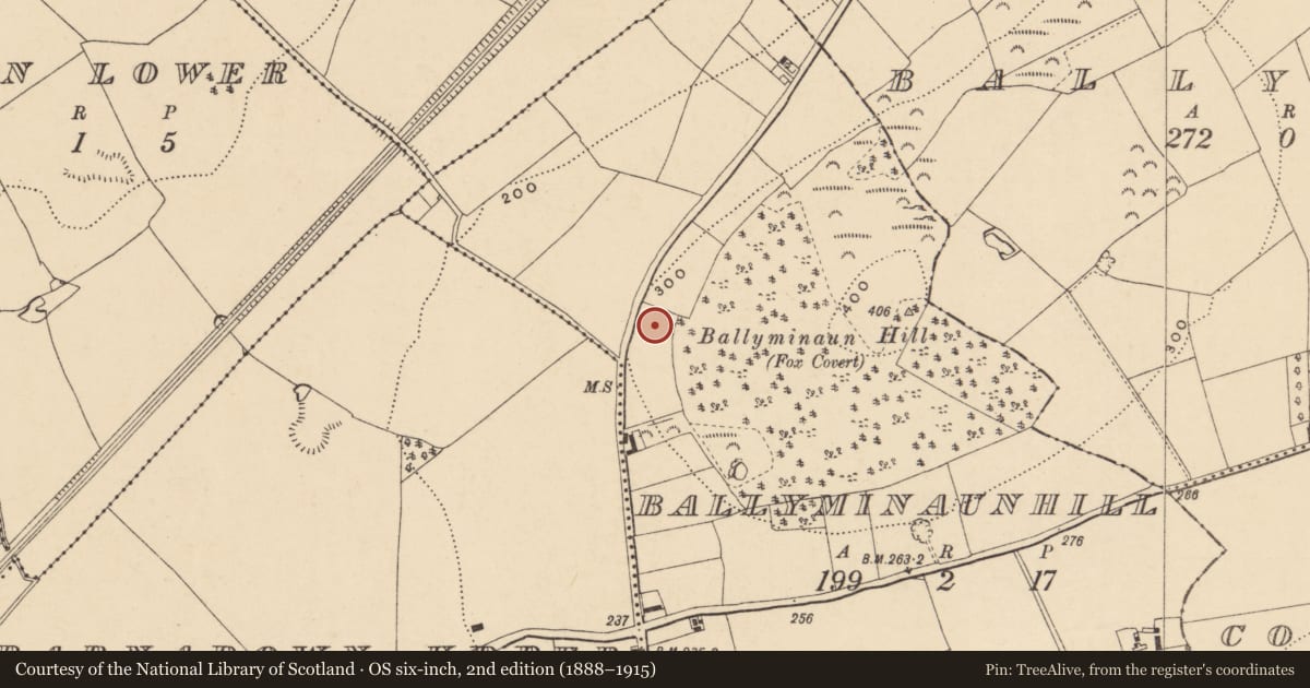Ordnance Survey six-inch map, 2nd edition (1888–1915) covering the location of Ringfort - unclassified, Ballyminaunhill, County Wexford, with a pin at the register's coordinates