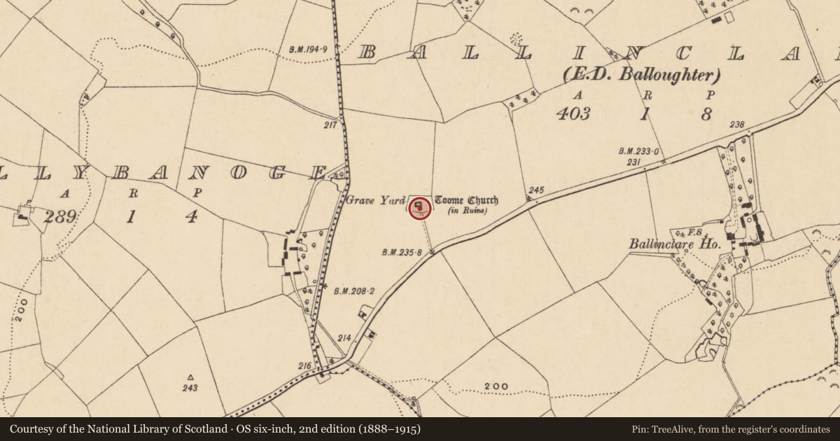 Ordnance Survey six-inch map, 2nd edition (1888–1915) covering the location of Graveyard, Ballinclare, County Wexford, with a pin at the register's coordinates
