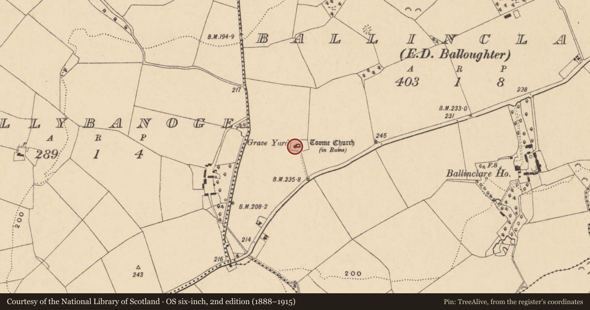 Ordnance Survey six-inch map, 2nd edition (1888–1915) covering the location of Bullaun stone, Ballinclare, County Wexford, with a pin at the register's coordinates