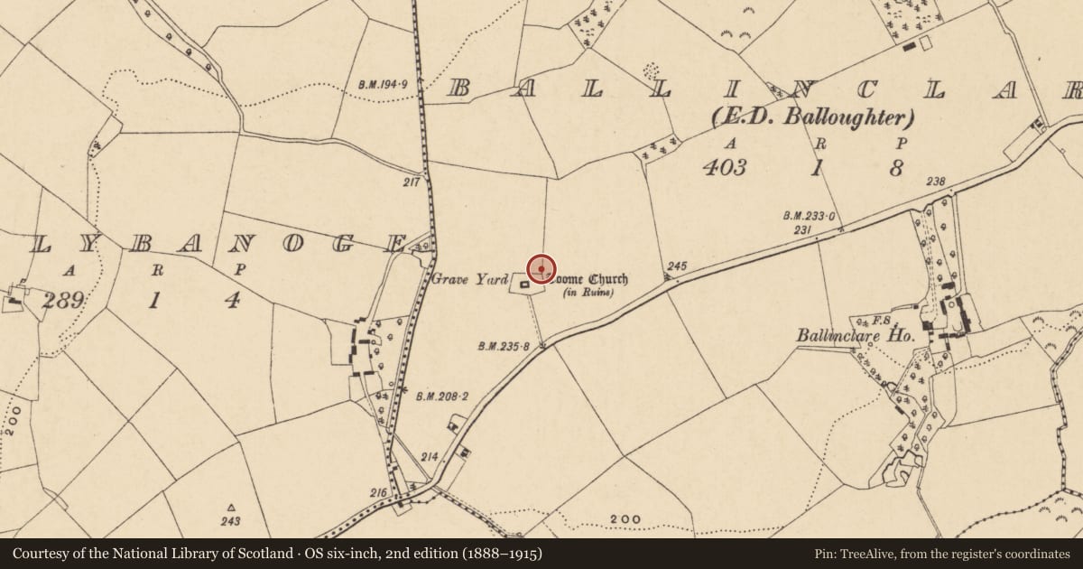 Ordnance Survey six-inch map, 2nd edition (1888–1915) covering the location of Ecclesiastical enclosure, Ballinclare, County Wexford, with a pin at the register's coordinates