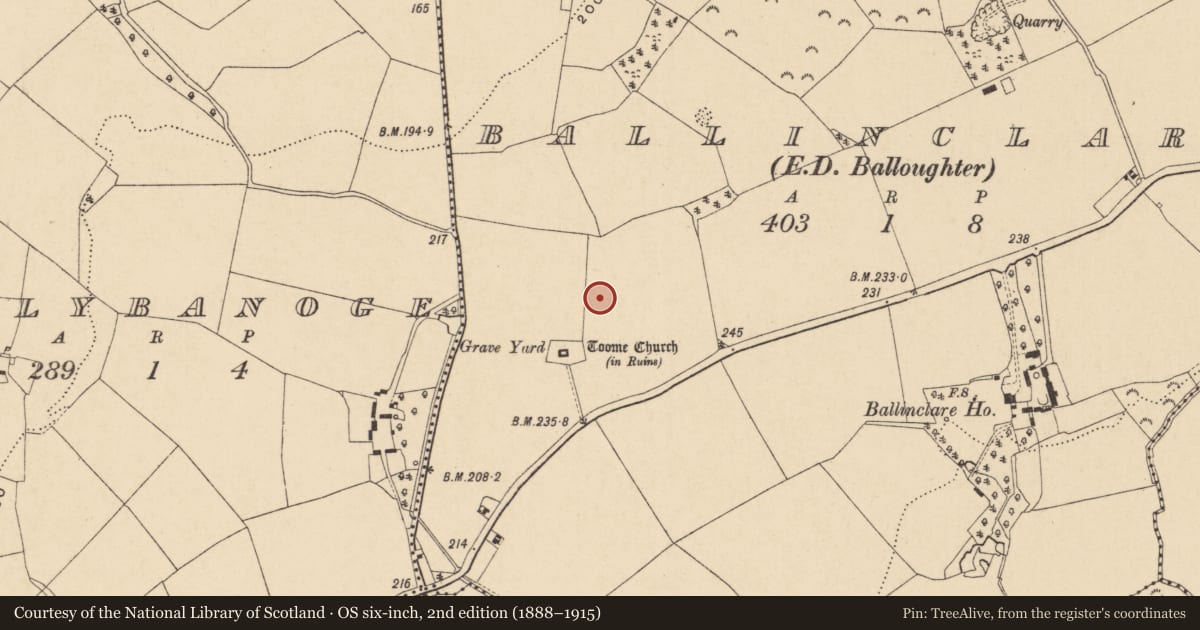 Ordnance Survey six-inch map, 2nd edition (1888–1915) covering the location of Ringfort - rath, Ballinclare, County Wexford, with a pin at the register's coordinates