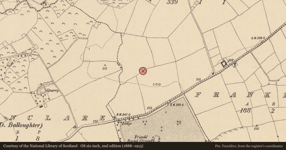 Ordnance Survey six-inch map, 2nd edition (1888–1915) covering the location of Ringfort - rath, Ballyhast, County Wexford, with a pin at the register's coordinates