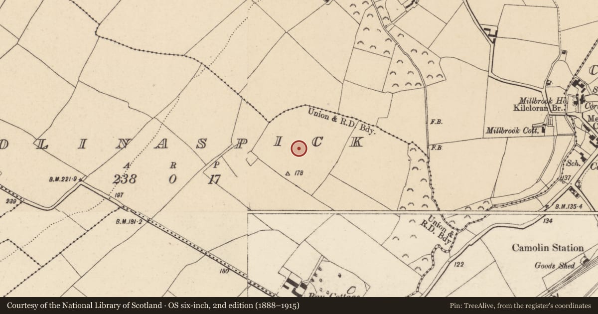 Ordnance Survey six-inch map, 2nd edition (1888–1915) covering the location of Ringfort - rath, Bolinaspick, County Wexford, with a pin at the register's coordinates