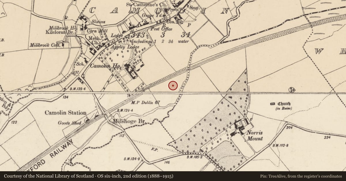 Ordnance Survey six-inch map, 2nd edition (1888–1915) covering the location of Moated site, Camolin, County Wexford, with a pin at the register's coordinates