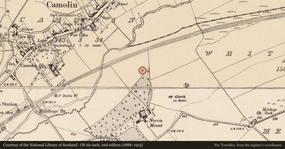 Ordnance Survey six-inch map, 2nd edition (1888–1915) covering the location of Enclosure, Norrismount, County Wexford, with a pin at the register's coordinates