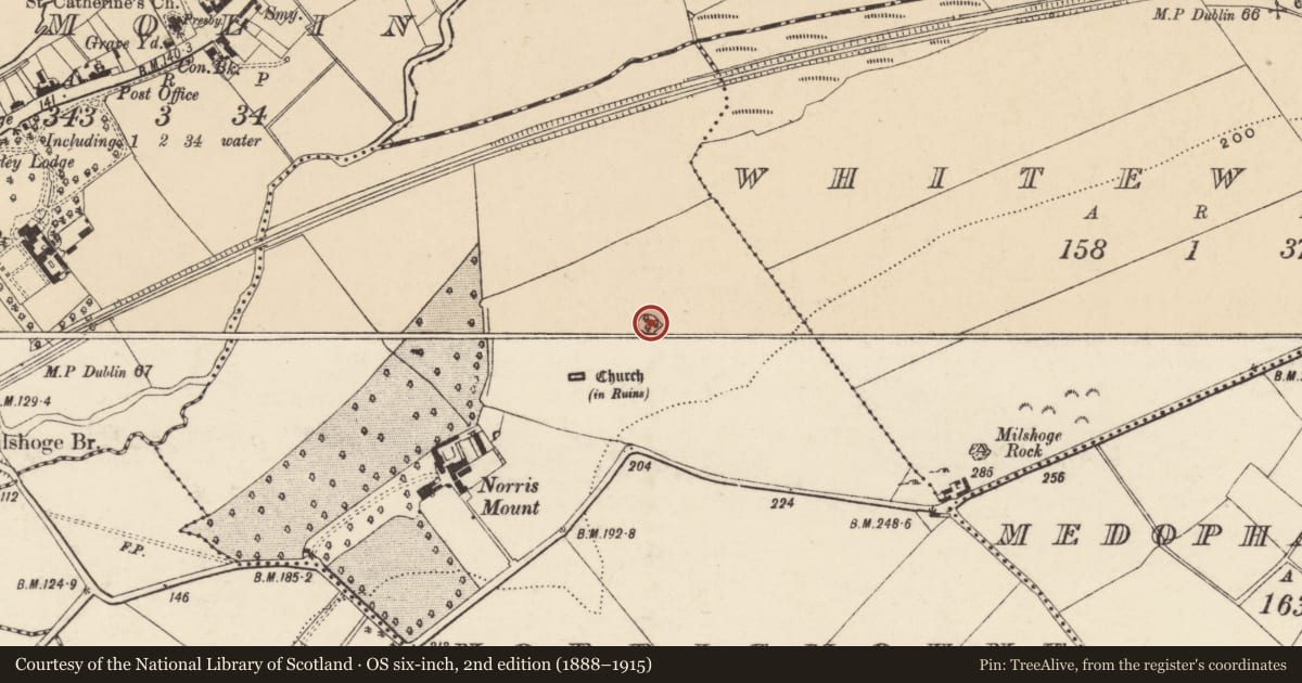 Ordnance Survey six-inch map, 2nd edition (1888–1915) covering the location of Linkardstown burial, Norrismount, County Wexford, with a pin at the register's coordinates