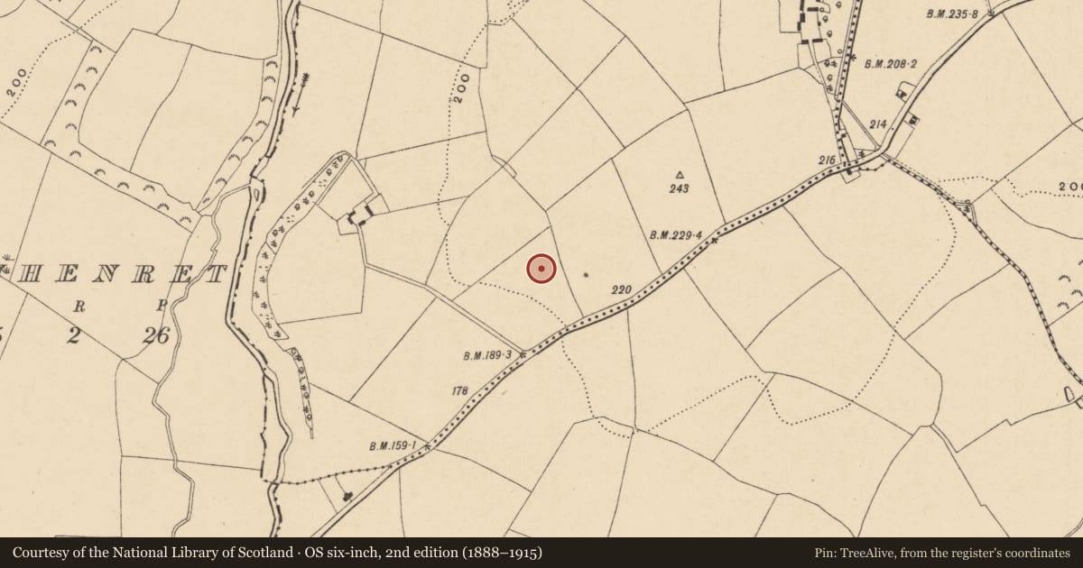 Ordnance Survey six-inch map, 2nd edition (1888–1915) covering the location of Ringfort - rath, Ballybanoge, County Wexford, with a pin at the register's coordinates