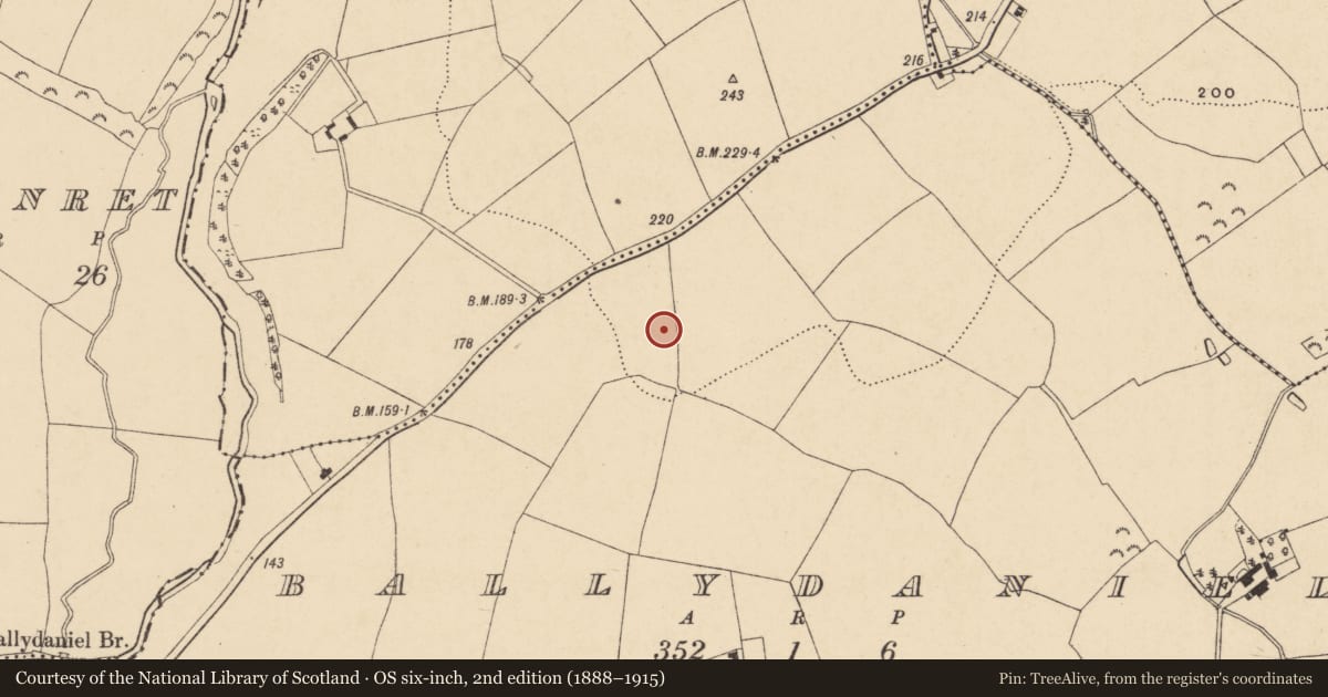 Ordnance Survey six-inch map, 2nd edition (1888–1915) covering the location of Ringfort - rath, Ballydaniel, County Wexford, with a pin at the register's coordinates