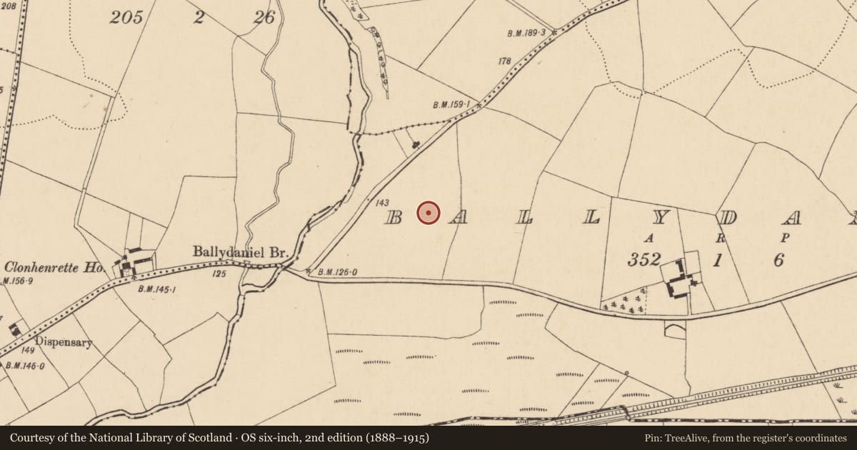 Ordnance Survey six-inch map, 2nd edition (1888–1915) covering the location of Ring-ditch, Ballydaniel, County Wexford, with a pin at the register's coordinates