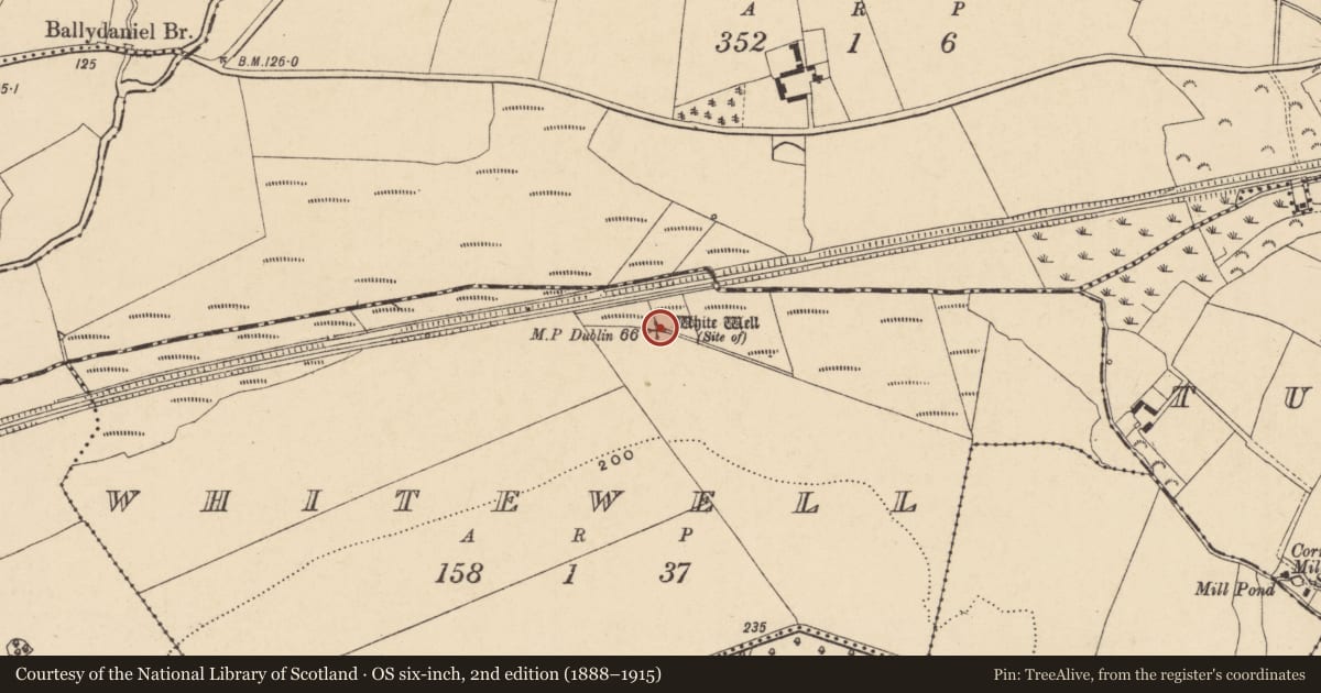 Ordnance Survey six-inch map, 2nd edition (1888–1915) covering the location of Ritual site - holy well, Whitewell, County Wexford, with a pin at the register's coordinates
