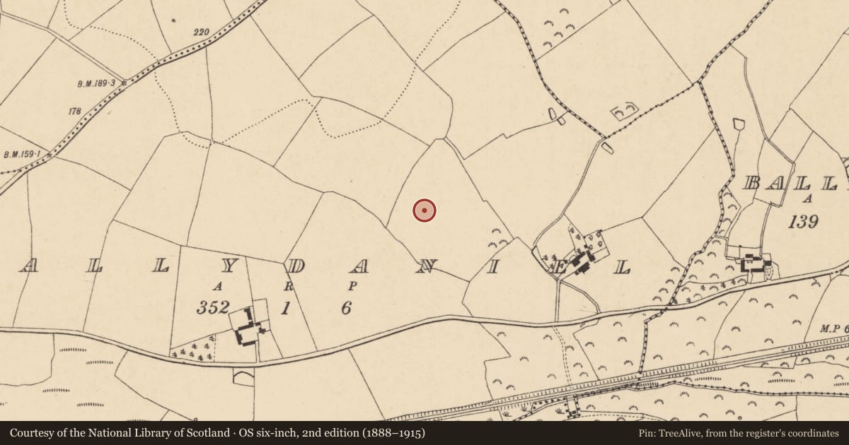Ordnance Survey six-inch map, 2nd edition (1888–1915) covering the location of Ringfort - rath, Ballydaniel, County Wexford, with a pin at the register's coordinates