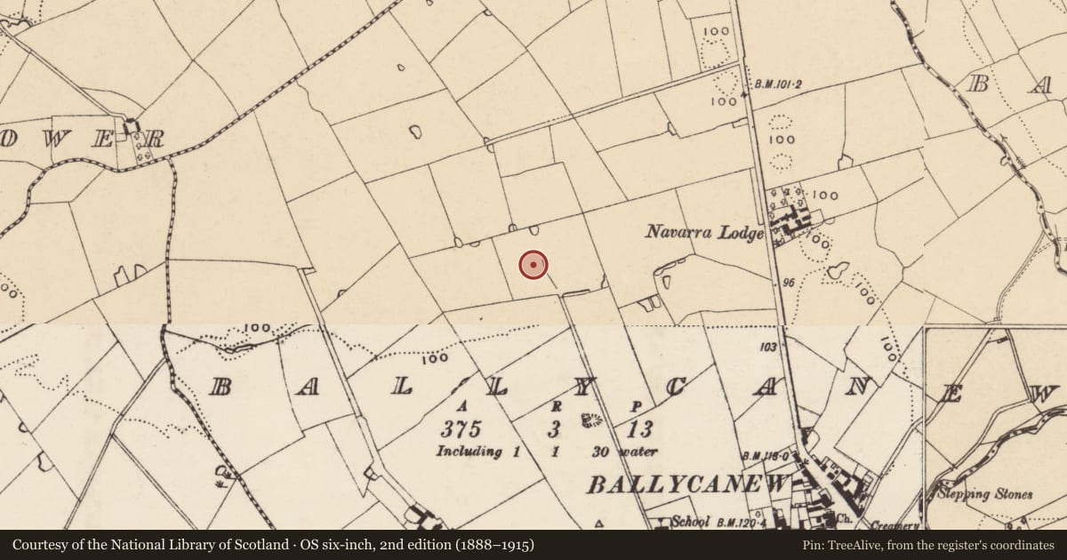 Ordnance Survey six-inch map, 2nd edition (1888–1915) covering the location of Ringfort - rath, Ballycanew, County Wexford, with a pin at the register's coordinates