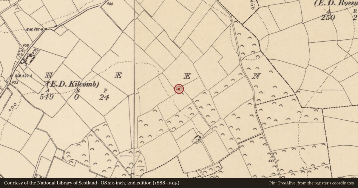 Ordnance Survey six-inch map, 2nd edition (1888–1915) covering the location of Ringfort - rath, Raheen, County Wexford, with a pin at the register's coordinates