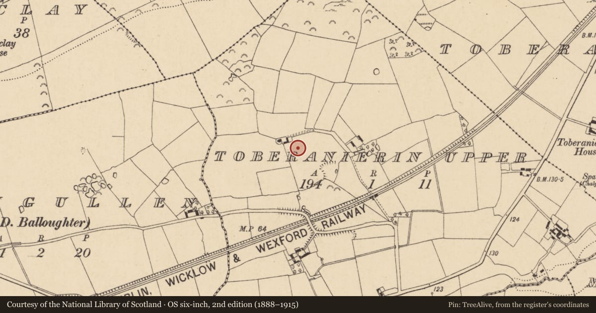 Ordnance Survey six-inch map, 2nd edition (1888–1915) covering the location of Moated site, Toberanierin Upper, County Wexford, with a pin at the register's coordinates