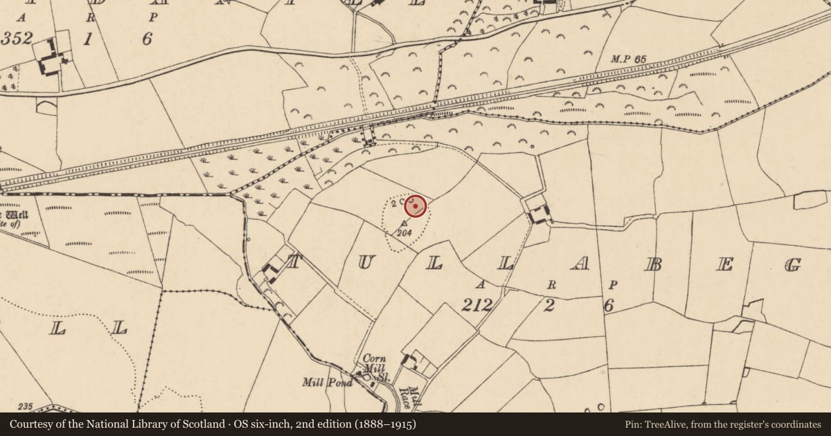 Ordnance Survey six-inch map, 2nd edition (1888–1915) covering the location of Enclosure, Tullabeg, County Wexford, with a pin at the register's coordinates