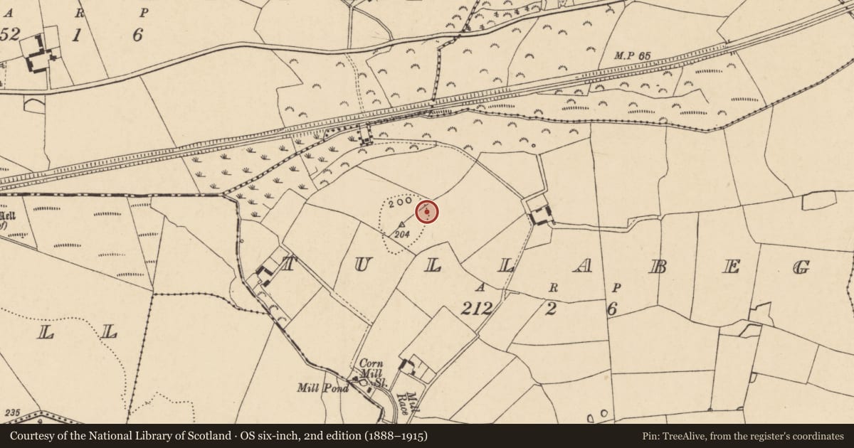 Ordnance Survey six-inch map, 2nd edition (1888–1915) covering the location of Ring-ditch, Tullabeg, County Wexford, with a pin at the register's coordinates