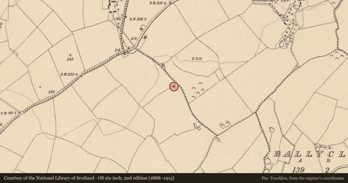 Ordnance Survey six-inch map, 2nd edition (1888–1915) covering the location of Ringfort - rath, Ballydaniel, County Wexford, with a pin at the register's coordinates