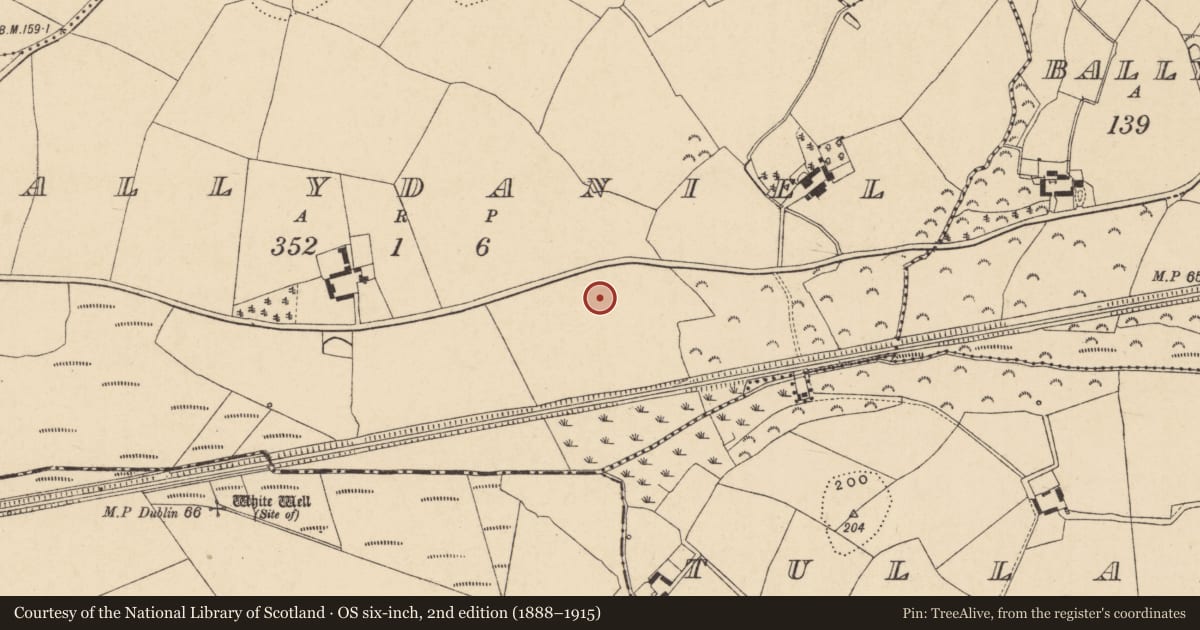 Ordnance Survey six-inch map, 2nd edition (1888–1915) covering the location of Ring-ditch, Ballydaniel, County Wexford, with a pin at the register's coordinates