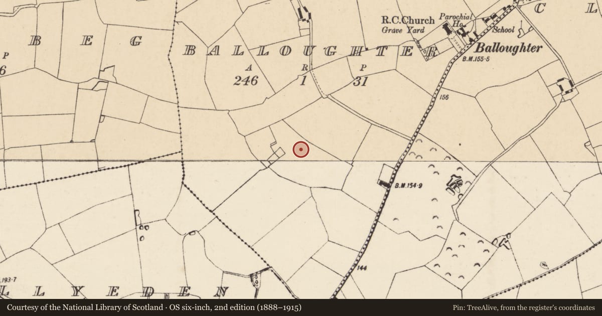 Ordnance Survey six-inch map, 2nd edition (1888–1915) covering the location of Ringfort - rath, Balloughter, County Wexford, with a pin at the register's coordinates