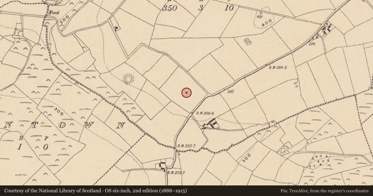 Ordnance Survey six-inch map, 2nd edition (1888–1915) covering the location of Ringfort - rath, Killowen, County Wexford, with a pin at the register's coordinates