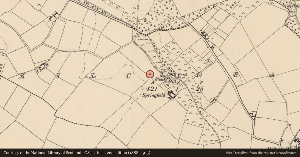 Ordnance Survey six-inch map, 2nd edition (1888–1915) covering the location of Ringfort - rath, Kilcloran, County Wexford, with a pin at the register's coordinates