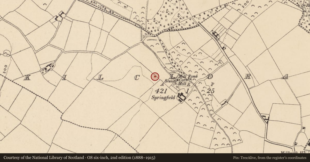Ordnance Survey six-inch map, 2nd edition (1888–1915) covering the location of Enclosure, Kilcloran, County Wexford, with a pin at the register's coordinates