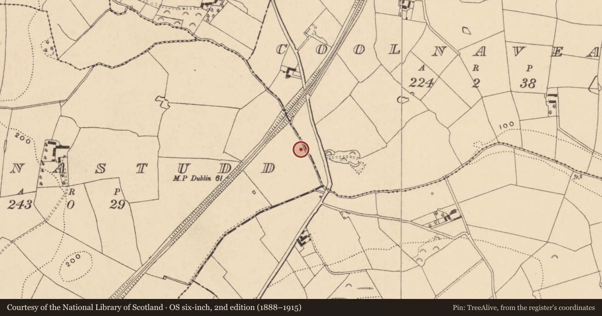 Ordnance Survey six-inch map, 2nd edition (1888–1915) covering the location of Burnt mound, Coolnastudd, County Wexford, with a pin at the register's coordinates