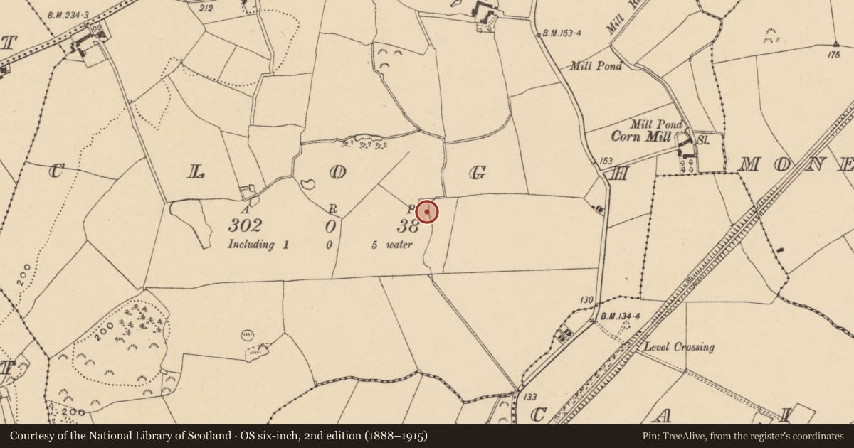 Ordnance Survey six-inch map, 2nd edition (1888–1915) covering the location of Fulacht fia, Clogh, County Wexford, with a pin at the register's coordinates