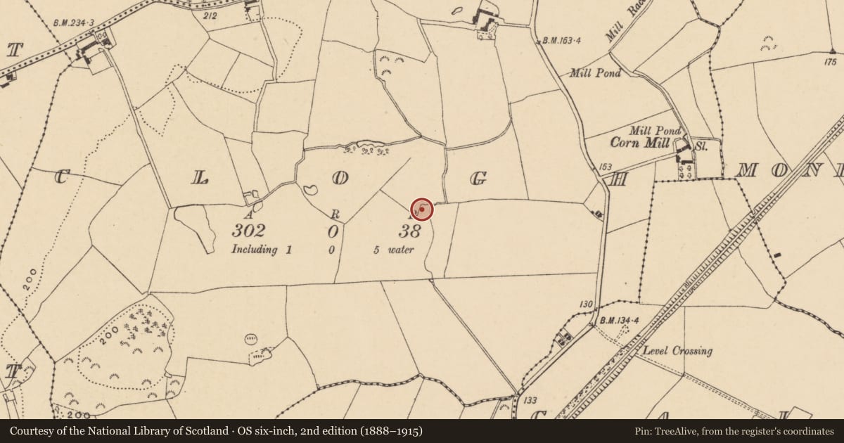 Ordnance Survey six-inch map, 2nd edition (1888–1915) covering the location of Fulacht fia, Clogh, County Wexford, with a pin at the register's coordinates
