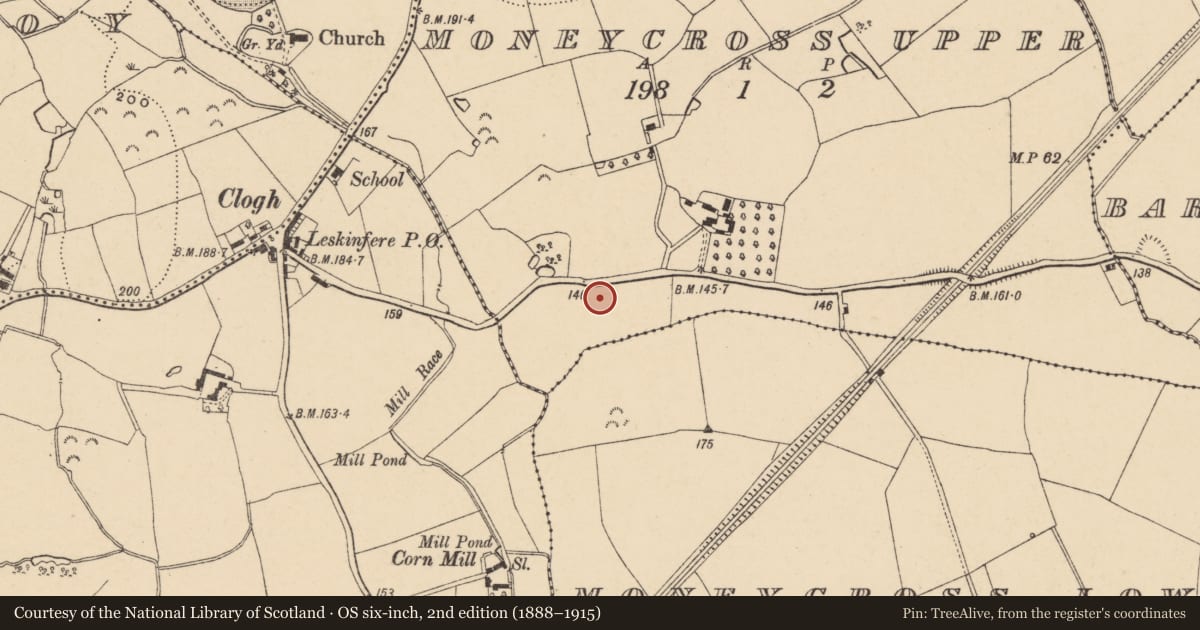Ordnance Survey six-inch map, 2nd edition (1888–1915) covering the location of House - medieval, Moneycross Upper, County Wexford, with a pin at the register's coordinates