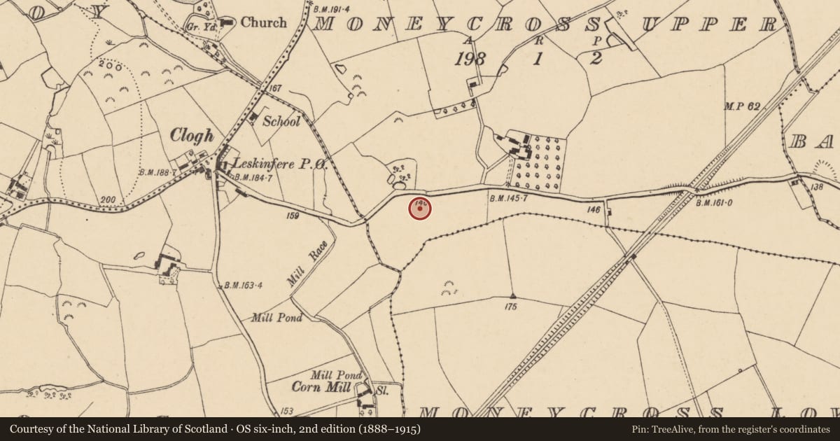 Ordnance Survey six-inch map, 2nd edition (1888–1915) covering the location of Field system, Moneycross Upper, County Wexford, with a pin at the register's coordinates