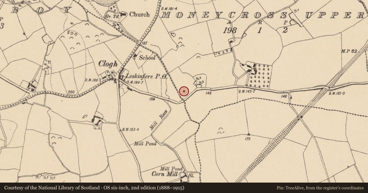 Ordnance Survey six-inch map, 2nd edition (1888–1915) covering the location of Fulacht fia, Moneycross Upper, County Wexford, with a pin at the register's coordinates