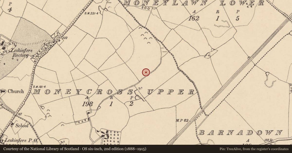 Ordnance Survey six-inch map, 2nd edition (1888–1915) covering the location of Excavation - miscellaneous, Moneycross Upper, County Wexford, with a pin at the register's coordinates