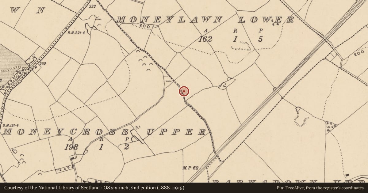 Ordnance Survey six-inch map, 2nd edition (1888–1915) covering the location of Burnt mound, Moneylawn Lower, County Wexford, with a pin at the register's coordinates